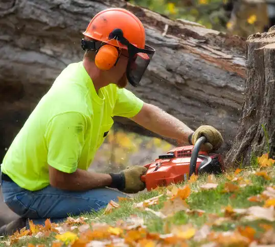 tree services Marlow Heights